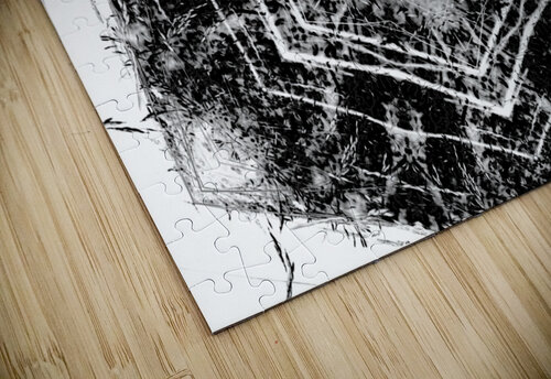 Abstract Black and White Long Grass  Catriona Roberts Nature Photography and Designs puzzle