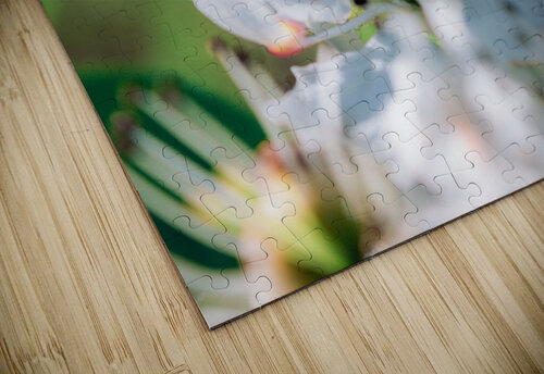 Pixie Cup LunarRise Photography puzzle