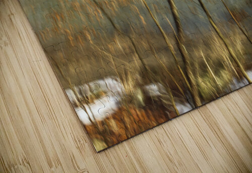 McCormick s Creek Ben Cvengros puzzle