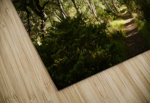  Leaving the Shadow Land in the Scottish Highlands Catriona Roberts Nature Photography and Designs puzzle