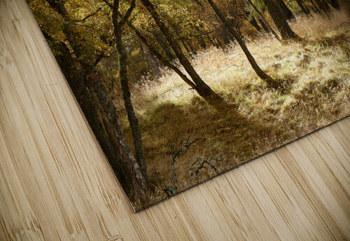 The Joy of Autumn in the Scottish Highlands Catriona Roberts Nature Photography and Designs puzzle
