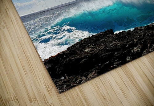 Backlit Yokohaman Beauty Scott Werny puzzle