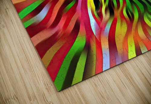 COLORWHiRL 1 Scott Werny puzzle