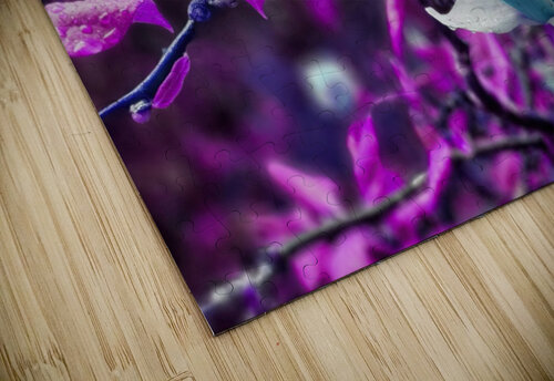 YOU CAN ALMOST TASTE THEM Scott Werny puzzle