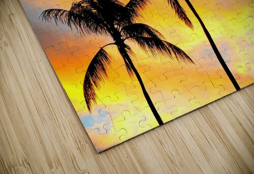 3 COLORED PALMS Scott Werny puzzle