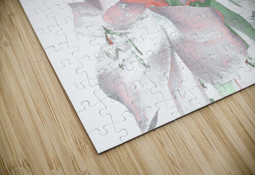 Subtle Poster Lilies Catriona Roberts Nature Photography and Designs puzzle