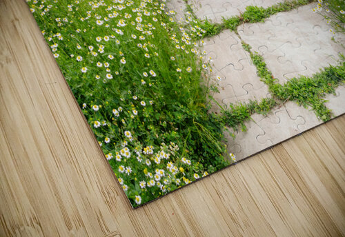 WOW What a Welcome Thea Menagh puzzle