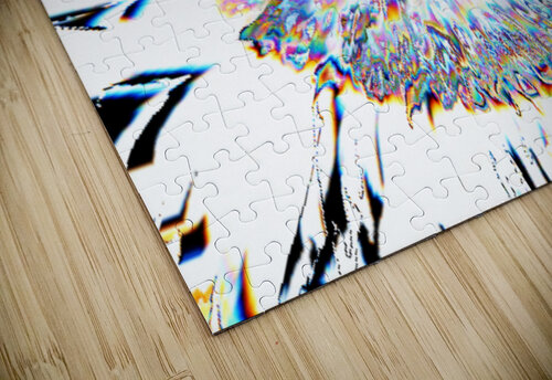 Pale Smeared Sunflower in Monochrome Catriona Roberts Nature Photography and Designs puzzle