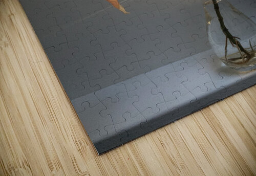 5Alive Mary Kobet  puzzle