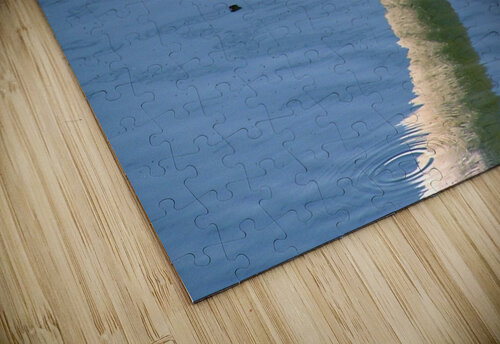 SwanReflects Mary Kobet  puzzle