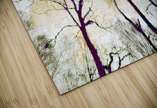 Peachy Birch Trees Perspective Catriona Roberts Nature Photography and Designs puzzle