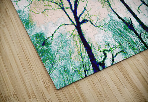 Turquoise Winter Birch Trees Perspective Catriona Roberts Nature Photography and Designs puzzle
