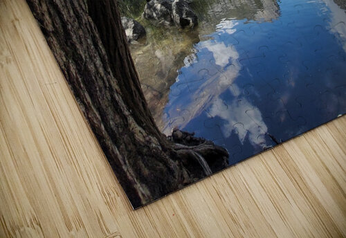 20230526 164842 Virginia Designs puzzle