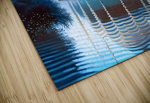 BlueWonder Hoosain Harneker puzzle