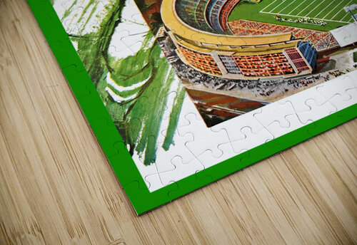 1964 New York Jets Remix Art Row One Brand puzzle