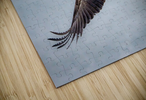 Soaring Young Eagle Dave Veith puzzle