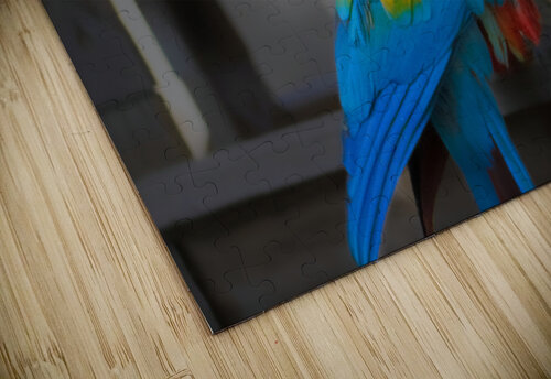 Callies Baby Susan Diann Photography puzzle