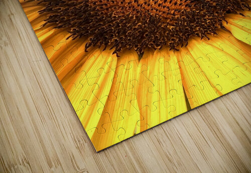 IMG 3967 Derek Udy puzzle