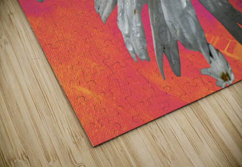  Daisy Flower Close Up on Vibrant Catriona Roberts Nature Photography and Designs puzzle