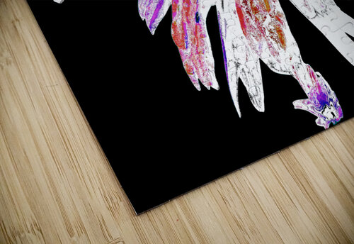 Red and White Distressed Daisy Flower on a Black Background Catriona Roberts Nature Photography and Designs puzzle