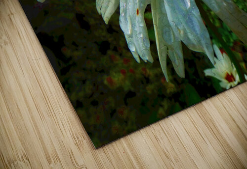  Colour Pop Daisy Flower Catriona Roberts Nature Photography and Designs puzzle