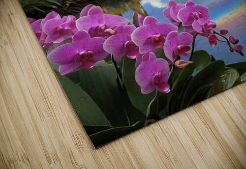 Naples Botanical Gardens Rainbow Sky Magikheart puzzle