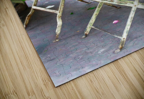 Give Your Love Roses - in Paris Thea Menagh puzzle