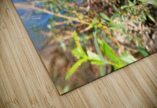 Timmy Dragonfly Mr Apple puzzle