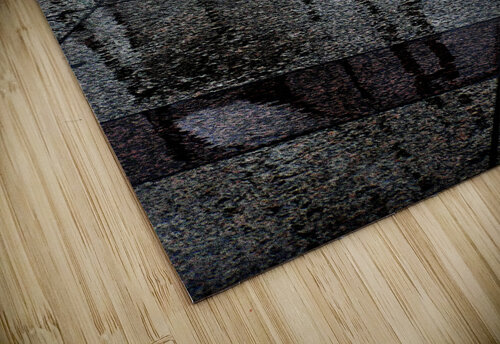 ChicagoSt Mary Kobet  puzzle