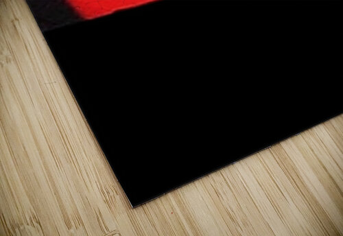 PoznanSun Mary Kobet  puzzle