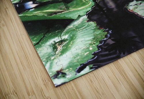 OmegaLilly  Mary Kobet  puzzle