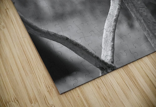 St.FrancisMonastery Mary Kobet  puzzle