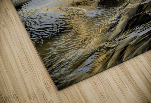 LaJollaGold Mary Kobet  puzzle