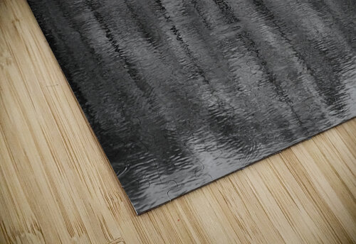 PolandPond Mary Kobet  puzzle