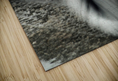 ChatSpin Mary Kobet  puzzle