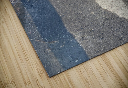 RoadWarrior Mary Kobet  puzzle