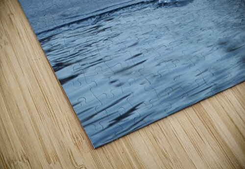 ChatPond1 Mary Kobet  puzzle