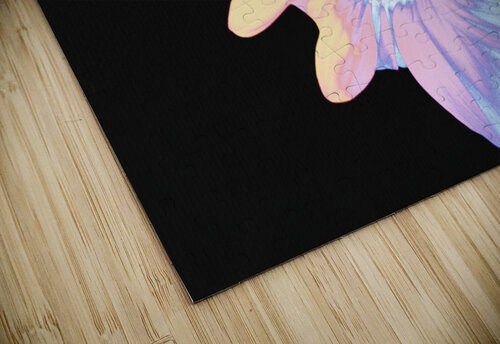 Silver and Pink Sunflower on a Black Background Catriona Roberts Nature Photography and Designs puzzle