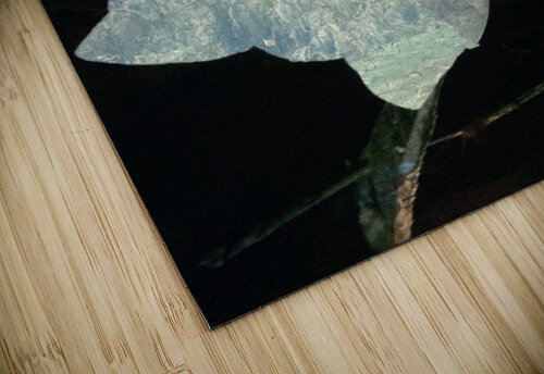 RoseHolds Mary Kobet  puzzle