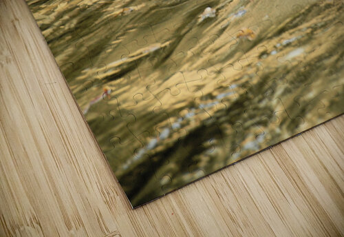 Goldflow Mary Kobet  puzzle