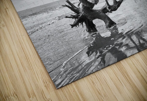 Please Save Me  18x26 Phillip A Snider Photography puzzle