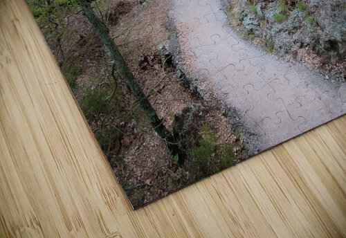 Pathway Series-4 - Tahlequah Trail  Susan Diann Photography puzzle