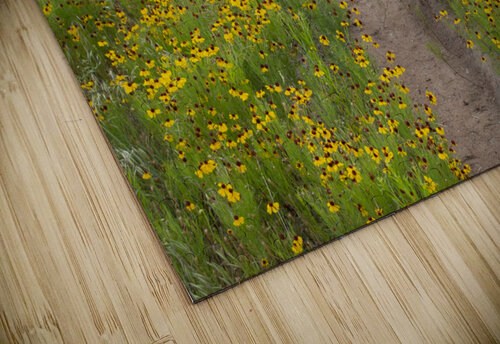 Pathway Series-5 Wichita Mountains Wildflower Path Susan Diann Photography puzzle
