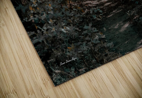 Pathway Series-7 The Haunted Forest Susan Diann Photography puzzle