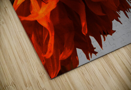 Distressed Sunflowers Edge Catriona Roberts Nature Photography and Designs puzzle