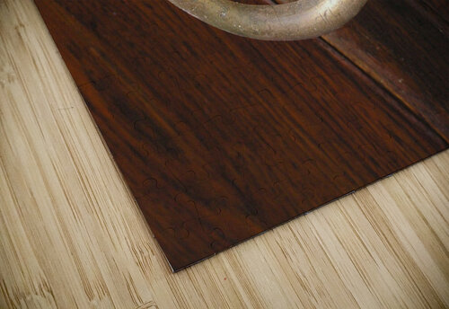 Gdansk Mary Kobet  puzzle