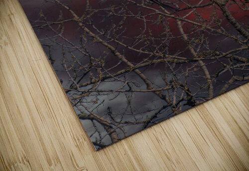 Bald Eagle Red Sky Wild TS designs puzzle