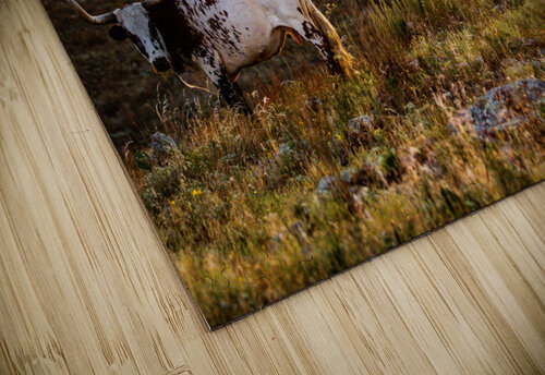 Longhorn Sunrise Susan Diann Photography puzzle