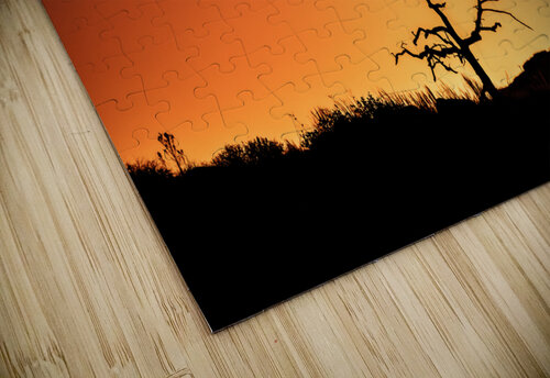 Orange Sunrise Susan Diann Photography puzzle