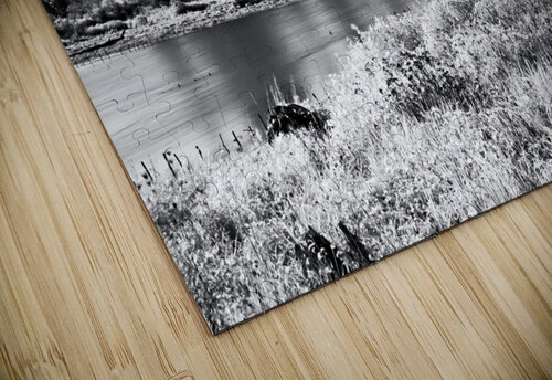 Dyke Road Park In Infrared 1 CRB Images Photography puzzle